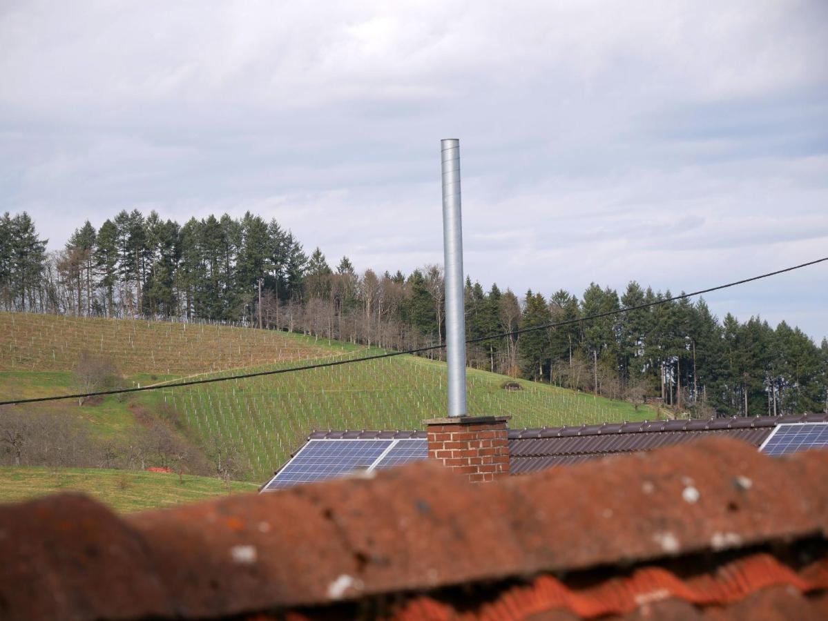 Ferienwohnung Obere Alm Oberkirch  Exterior photo